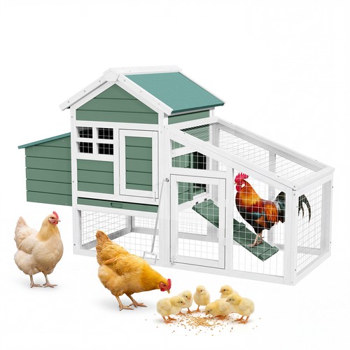 Wooden chicken coop - chicken, with