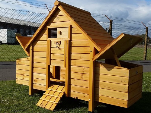 Chicken hen house coop - chicken, poultry