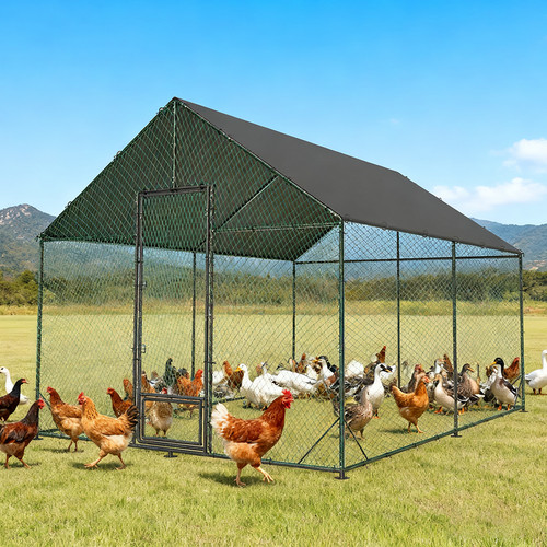 Large sturdy chicken coop - sturdy,