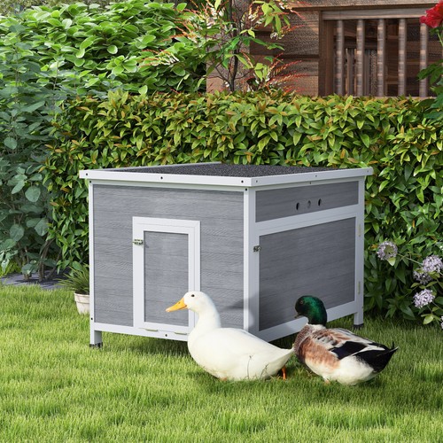 Duck coop for ducks - duck,