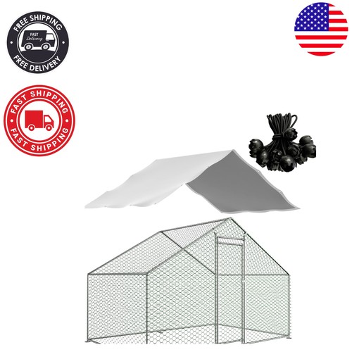 Resistant chicken run - chicken,