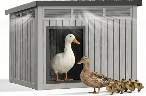 Chicken coop resin - coop,, pp