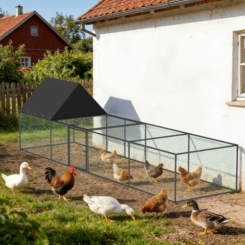 Premium chicken coop - premium,