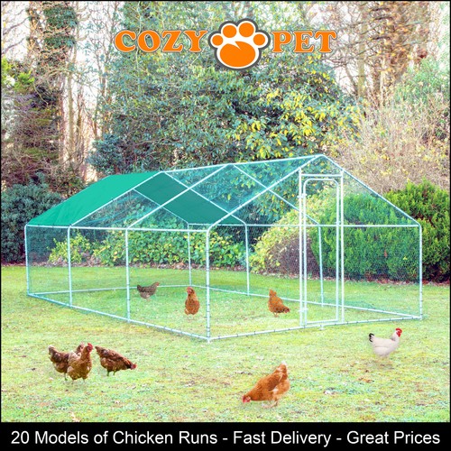 Chicken run sizes - sizes, cozy