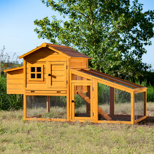 Chicken coop run - &, house