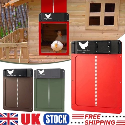 Automatic chicken coop - chicken,