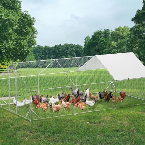 Metal chicken coop - ft,