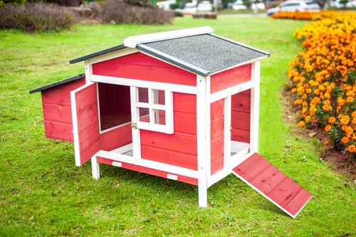 Chicken coop square feet - chicken,