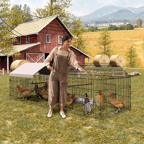 130 metal chicken - chicken, coop