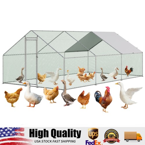 5x9 8x6 large - 19.5x9.8x6.6,