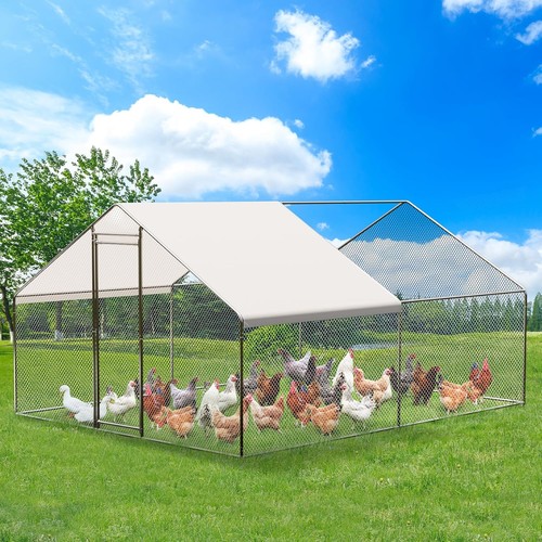 13ft 10ft chicken - 10ft, coop