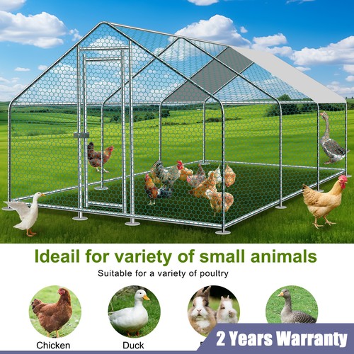 20x13ft large walk - walk-in, chicken