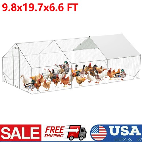 Metal chicken coop - 20,