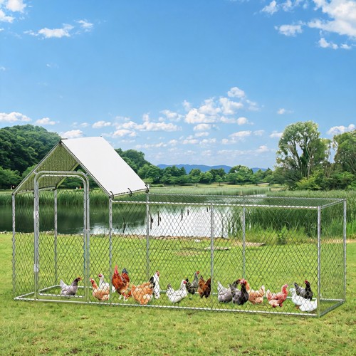 Large metal chicken coop walk - large,