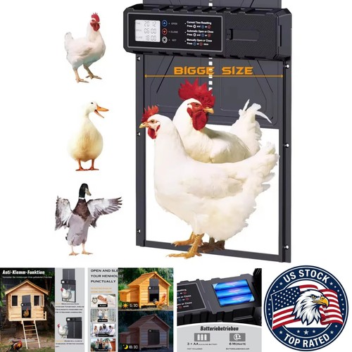 Automatic chicken coop door - coop,