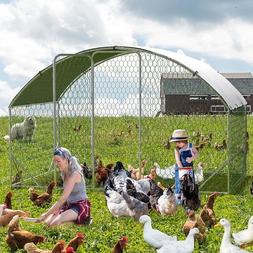 Gravee metal chicken coop - chicken,