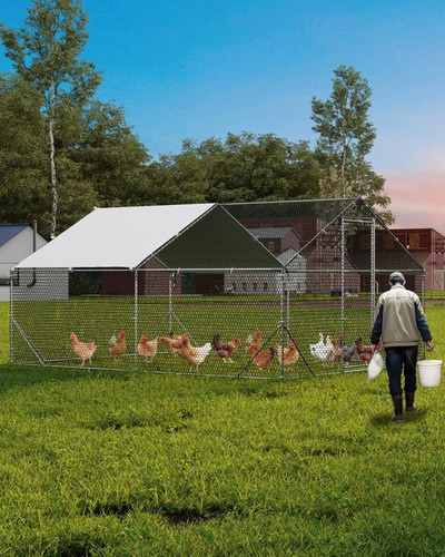 Large metal chicken - chicken, coop
