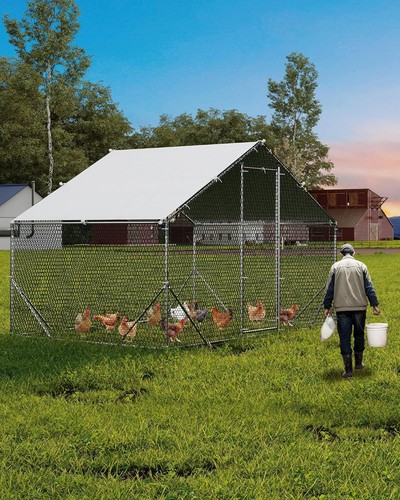 Galvanized steel chicken - steel,