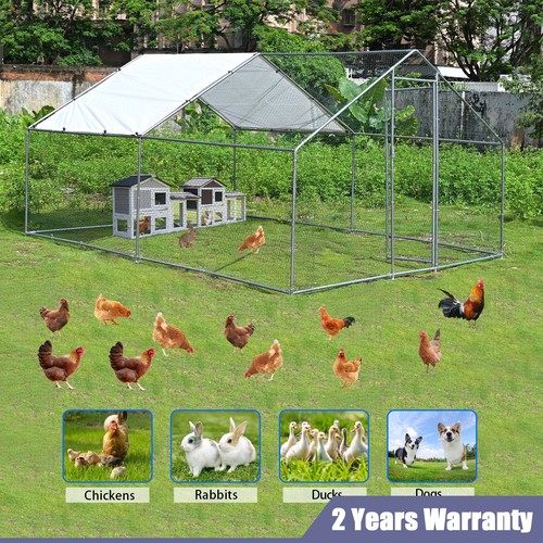 13x10ft large walk chicken - large,