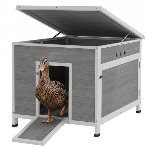 Duck coop for ducks - duck,