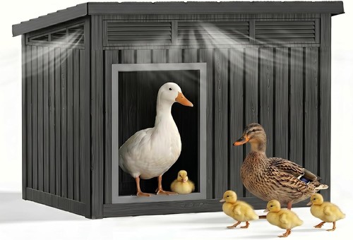 Duck coop with hydraulic - duck,
