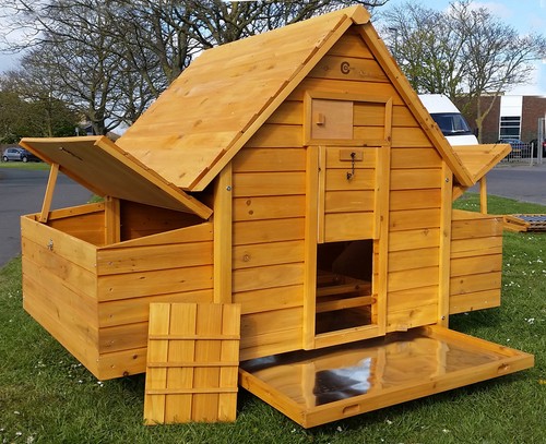 Large chicken coop - large, hen