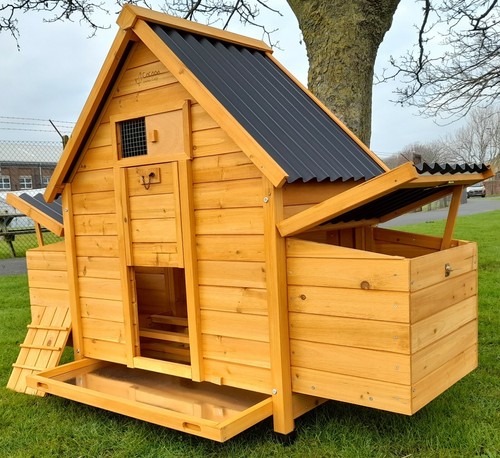 Eco 6002n chicken - eco,