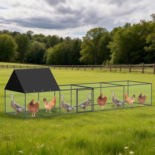 Bingopaw outdoor chicken - chicken, coop