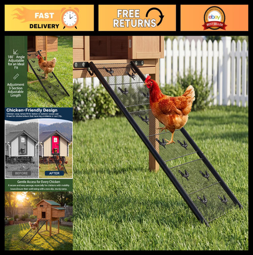 Adjustable chicken coop - chicken, ramp