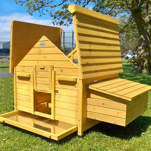 Betty chicken coop - chicken, run