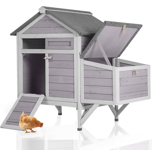 Chickens coop outdoor - coop,