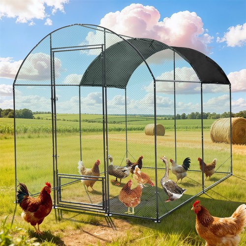 Outdoor metal chicken - outdoor,