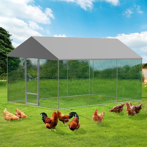Full size walk chicken coop - walk,