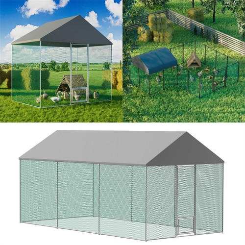 Xxl large walk - l/xl/xxl, chicken