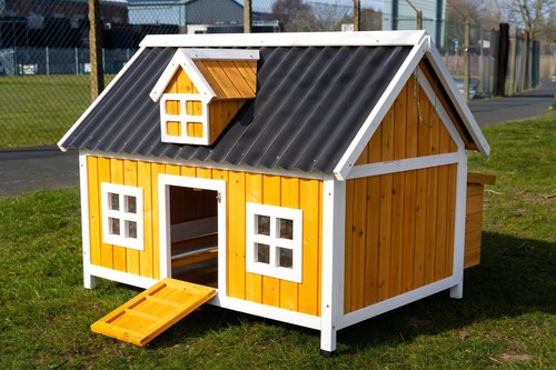 Large chicken coop hen - large,