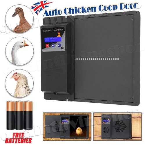 Automatic chicken duck goose - automatic,