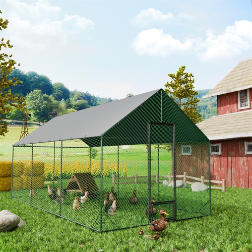 Extra large chicken coop - extra,