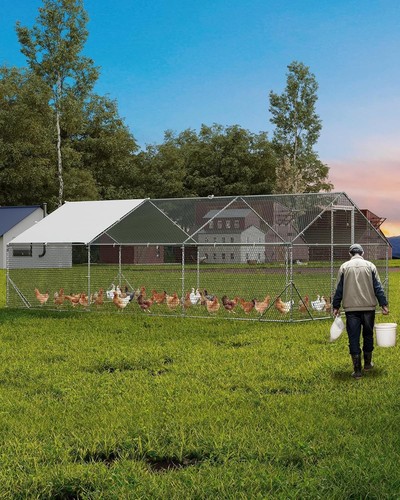 Large metal chicken coop - metal,
