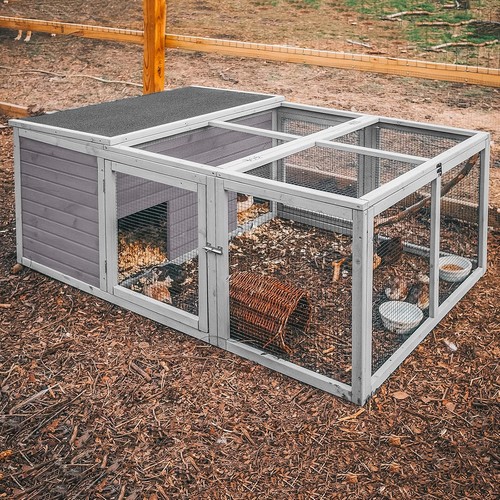 Chicken coop outdoor rabbit - chicken,