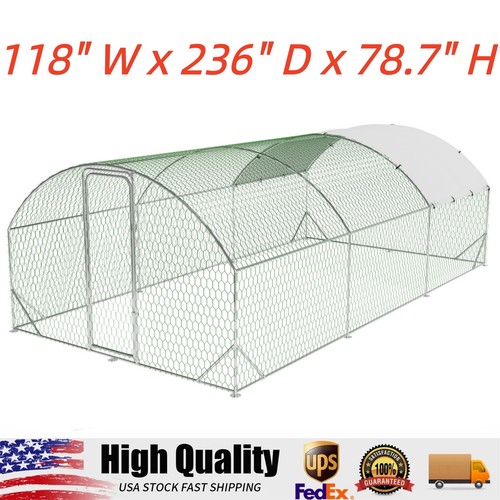 Large metal chicken coop - chicken,
