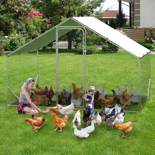 Ft metal chicken - 10,