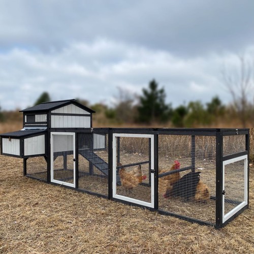 Large chicken coop wooden - chicken,