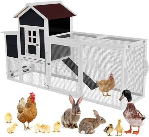 Chicken coops for chickens - for,