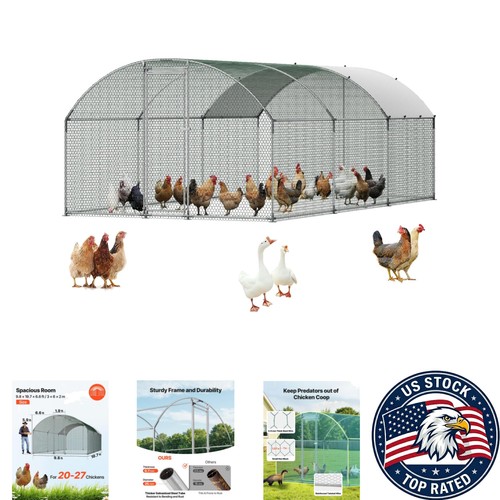 Elegant waterproof chicken - elegant,