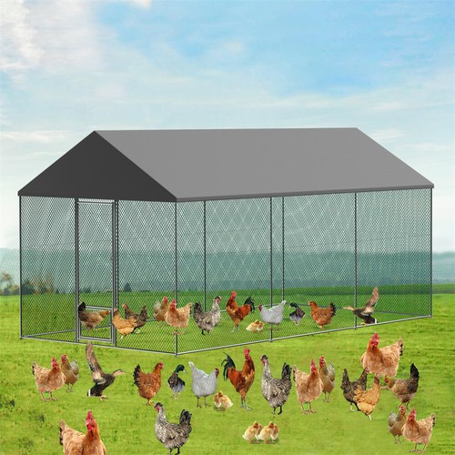 7ft spacious chicken - chicken, coop