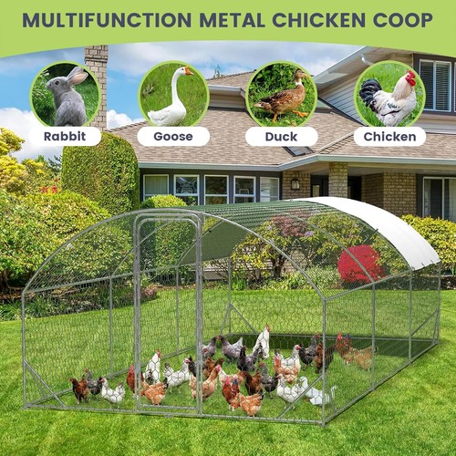 Ft chicken coop - x, 20