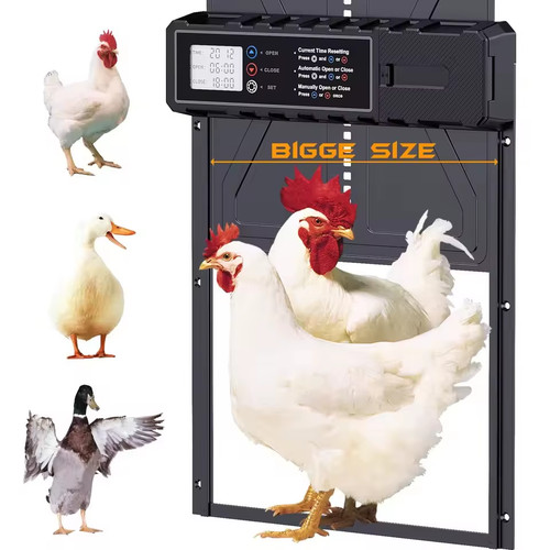 Aluminum automatic chicken - aluminum,
