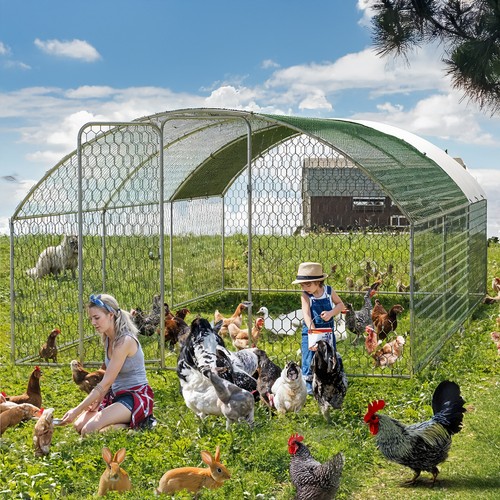 Walk chicken run coop - walk-in,