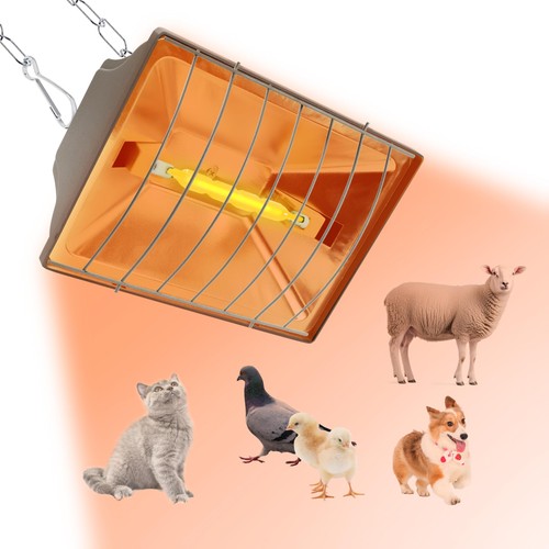 250w chicken coop heater for - 250w,