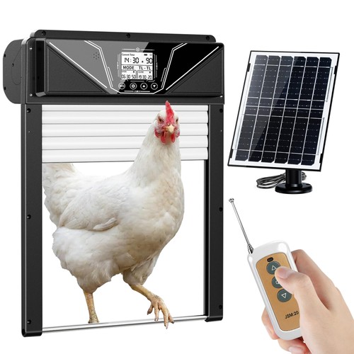Automatic chicken coop door - chicken,